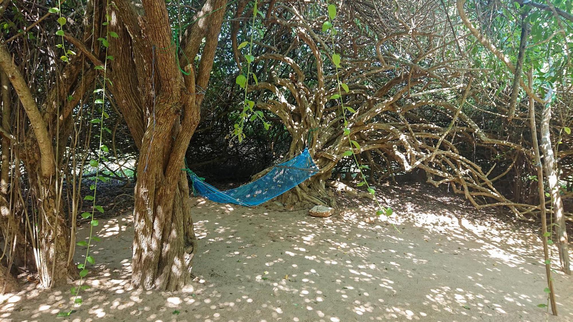 Отель Yala Podi Hoona Bush Camp Экстерьер фото